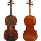Violine Spidlen - фото 1