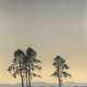 Hans Figura, Landschaft im Morgenlicht - photo 1