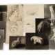 Hedwig von Lepel-Gnitz, Mappe mit Studienzeichnungen - Foto 1