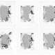 CHRISTOPHER WOOL (B. 1955) - photo 1