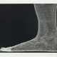 RICHARD DUPONT (B. 1968) - фото 1