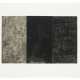 BRICE MARDEN (1938-2023) - photo 1