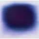 ANISH KAPOOR (B. 1954) - Foto 1