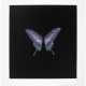 DAMIEN HIRST (B. 1965) - photo 1