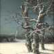 Max Nordt, "WINTERMONDNACHT" - фото 1