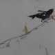 Chinesisches Rollbild - Vogel auf Zweig, Tusche un… - photo 1