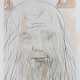 Dalí, Salvador (1904 Figueras -1989 ebenda) - "Hom… - photo 1