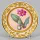 Seltener botanischer Empire-Teller mit "Blutblume"… - photo 1