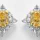 Paar elegante Fancy-Diamant-Ohrringe Weißgold, ges… - photo 1