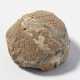 Fossil, Seeigel - Foto 1