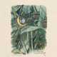Robert Hainard - photo 1