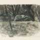 Robert Hainard - Foto 1