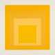Josef Albers. SP X - photo 1