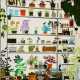 Jonas Wood. Large Shelf Still Life - Foto 1
