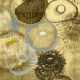 Ross Bleckner. Happiness for Instance, III - photo 1