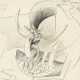 PABLO PICASSO (1881-1973) - photo 1