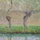 CLAUDE MONET (1840-1926) - photo 1