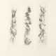 Roberto Cordone. Untitled - photo 1