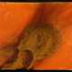 Otto Piene. Orange & Gold - фото 1