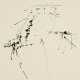 Gerhard Hoehme. Figuration - фото 1