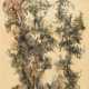 Bernard Schultze. Untitled - photo 1