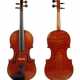 Violine Wilfer - photo 1
