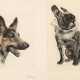 Kurt Meyer-Eberhardt, Paar Hundedarstellungen - photo 1 Kurt Meyer-Eberhardt, Paar Hundedarstellungen - photo 1