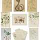 A GROUP OF BOTANICAL STUDIES - photo 1 A GROUP OF BOTANICAL STUDIES - photo 1
