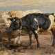 Heinrich von Zügel. Cows at the Trough - photo 1
