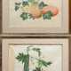 2 Various watercolours by an unknown Chinese artis… - photo 1 2 Various watercolours by an unknown Chinese artis… - photo 1