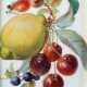 Fliesenbildnis Meissen, ehemaliger Teller mit Fruchtbouquet, beschnitt… - Foto 1