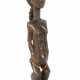 Weibliche Figur der Baule Elfenbeinküste, dunkelbraunes Holz mit Glanz… - Foto 1