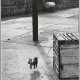 ELLIOTT ERWITT (1928-2023) - photo 1 ELLIOTT ERWITT (1928-2023) - photo 1