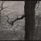 JOSEF SUDEK (1896-1976) - photo 1 JOSEF SUDEK (1896-1976) - photo 1