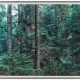 Thomas Struth. Paradise 20 (Bayrischer Wald) - photo 1