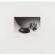 Robert Mapplethorpe. Tulips (Just to Thank You) - photo 1 Robert Mapplethorpe. Tulips (Just to Thank You) - photo 1