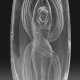 Lalique-Vase "Eroica" - Foto 1 Lalique-Vase "Eroica" - Foto 1