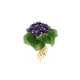 Amethyst-Nephrite-Brooch "Vergissmeinnicht" - Foto 1