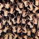 Claudia Rogge. Taktile II - photo 1