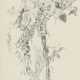 Richard Oelze. Blossom branch (study) - photo 1