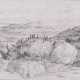 Berg-Nashorn - фото 1