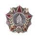 Орден Александра Невского, тип 3 - фото 1