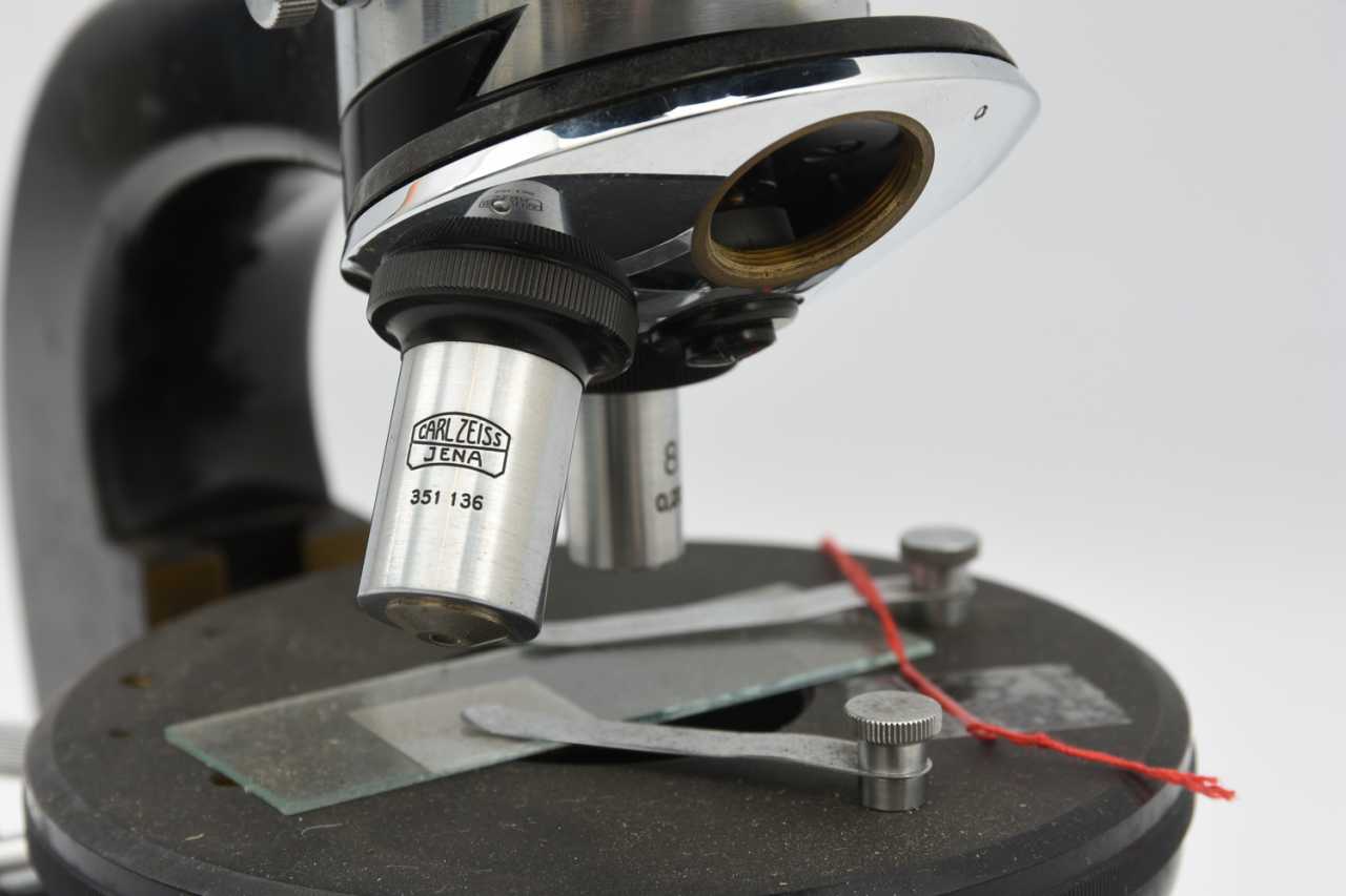 ZEISS, MICROSCOPE Binoculaire, Allemagne au Milieu du 20. Siècle