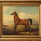 Emil Volkkers (1831-1905) attributed, Horse, oil canvas, framed - Foto 1