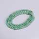 Ice species Emerald necklace 108 capsules - Foto 1