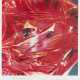 Rosenquist, James. Gift wrapped doll - Foto 1