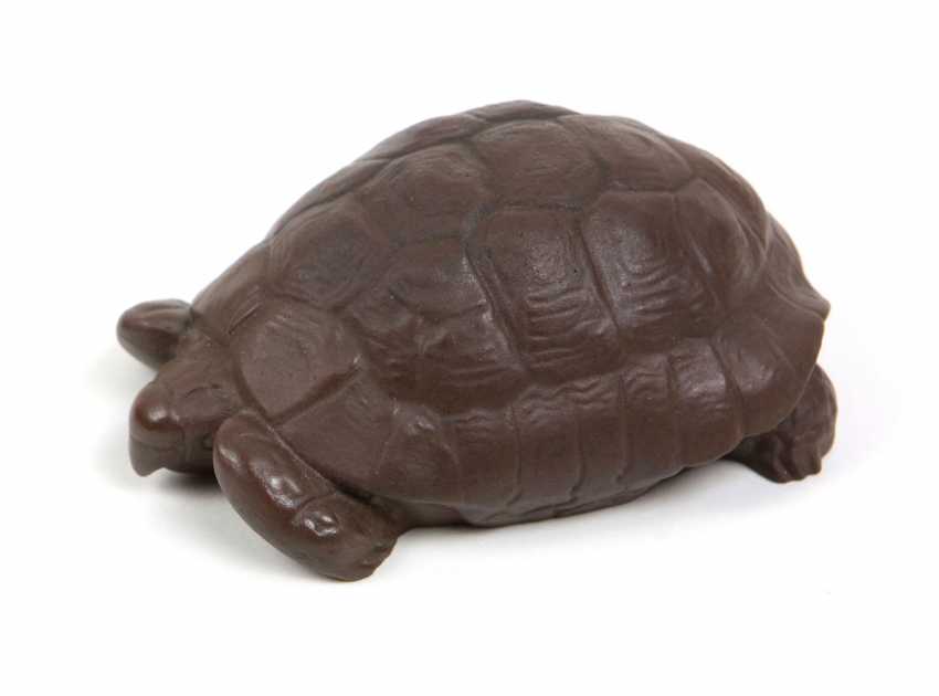 Meissen Schildkrote Erich Oehme Online Bei Auktion Kaufen Auktionskatalog 107 Auktion Kunst Antiquitaten Varia Vom 17 01 Foto Preis Von Auktionslos 1397 Bei Veryimportantlot Com