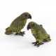 2 Papageien in Art der Wiener Bronzen - Foto 1