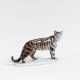 Rosenthal, Selb, Stehende Tigerkatze - photo 1