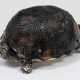 Schildkröten-Zierdose - Foto 1